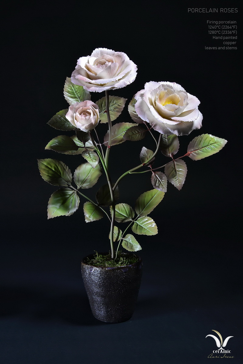 Porcelain roses "Sweet kiss"