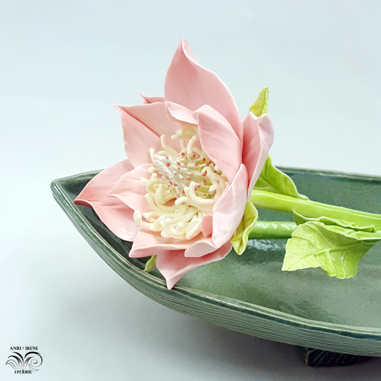 Porcelain magnolia