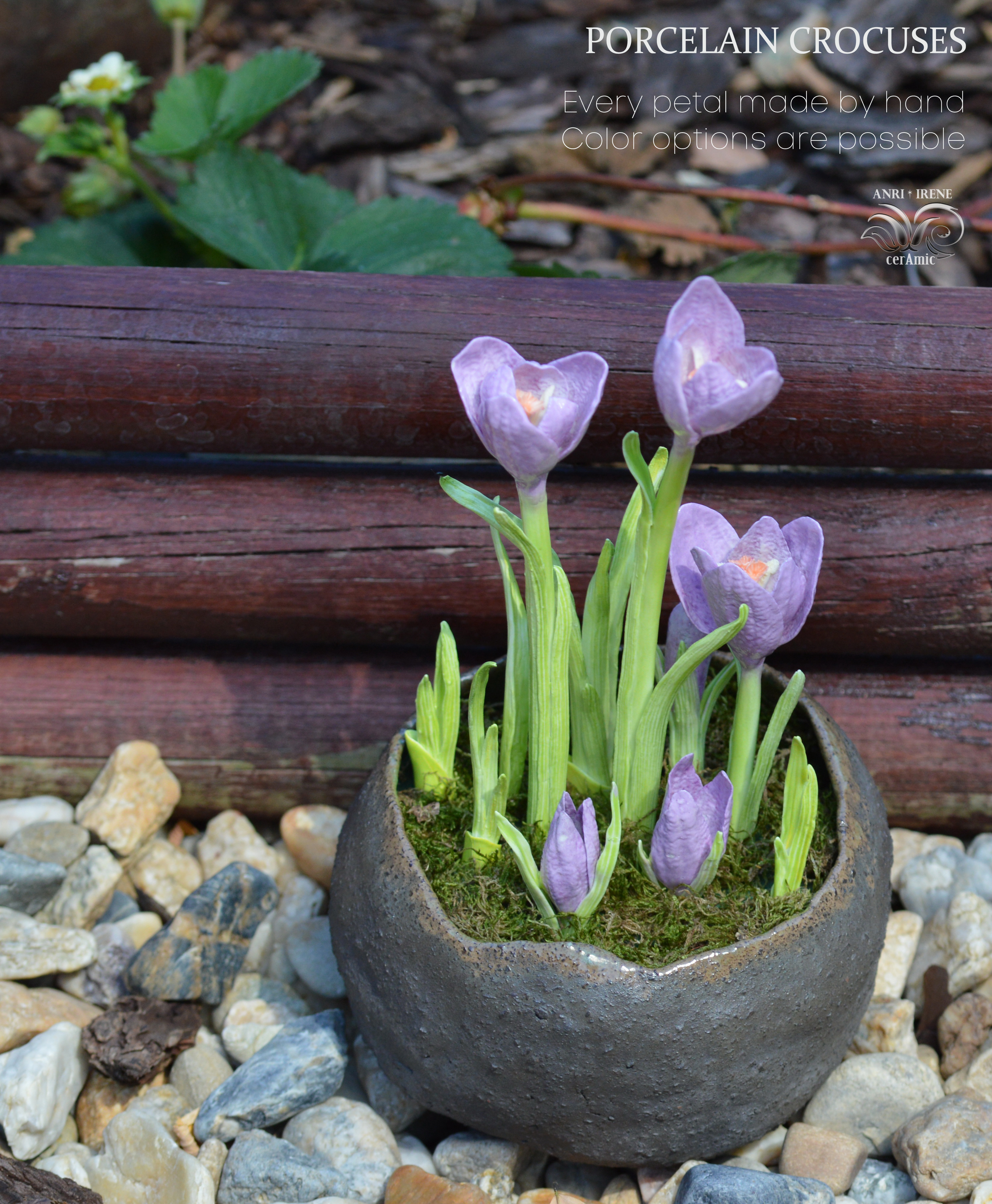 Porcelain crocuses