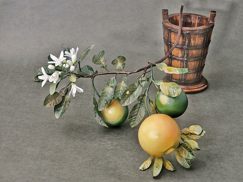 Porcelain grapefruit branch