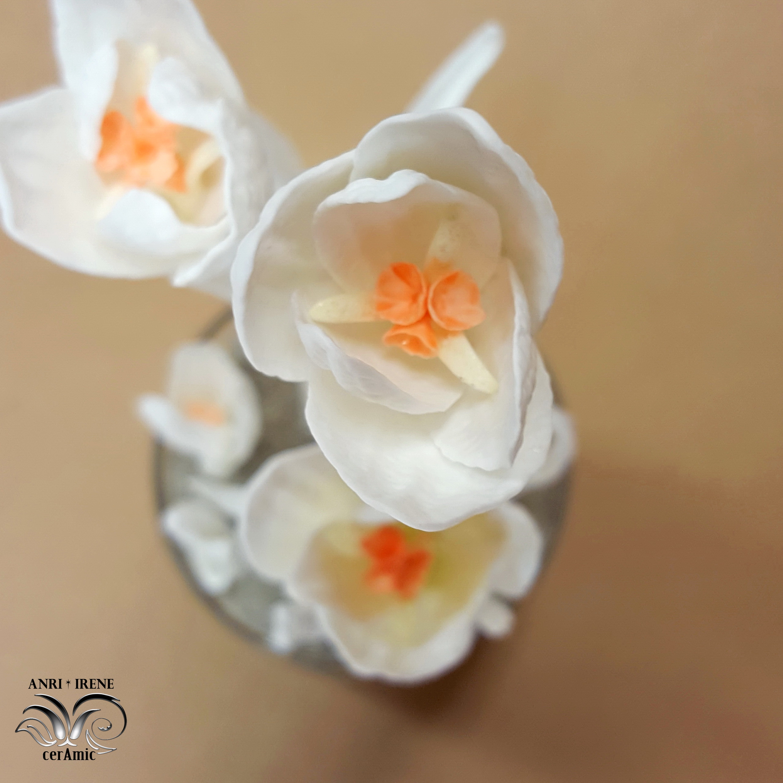 Crocus biscuit porcelain