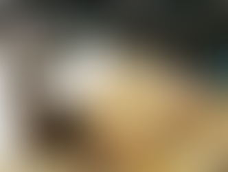 9 Authentic Artisan Sourdough Breads in Korea Featured in Master's of Living (생활의 달인)