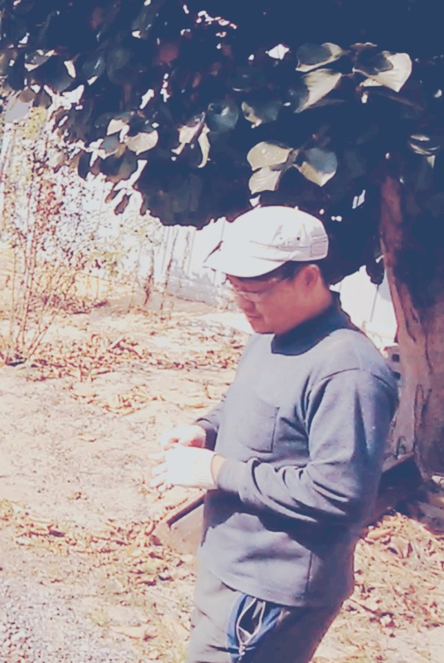 turkey farmer in korea