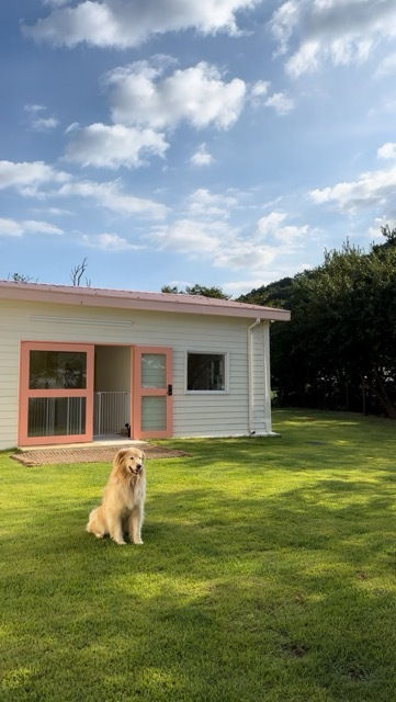 Source: https://www.instagram.com/with_big_dogs/