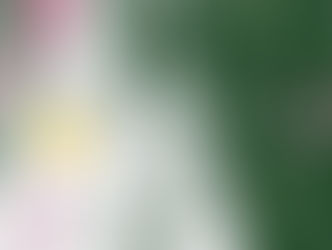 Сколько на рынке винтажа сегодня может стоить камзол из фильма «Кыз-Жибек»?