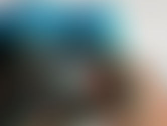 Какие книги о животных читают дети в школах Казахстана, пока общество спорит о судьбе бездомных собак и кошек?