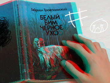 Какие книги о животных читают дети в школах Казахстана, пока общество спорит о судьбе бездомных собак и кошек?