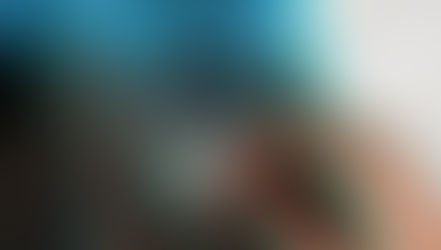 Какие книги о животных читают дети в школах Казахстана, пока общество спорит о судьбе бездомных собак и кошек?