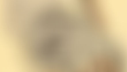 Токаев посоветовал чиновникам больше читать… А какие профессии самые читающие?