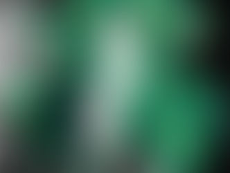 Живая, искусственная или дизайнерская: как найти свою идеальную ёлку на Новый год