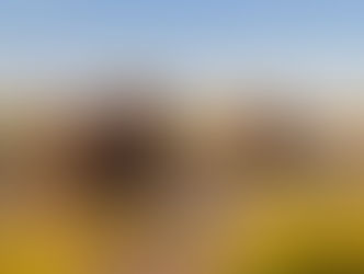 Станет ли экоцид международным преступлением?