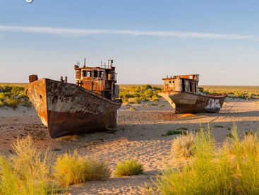 Станет ли экоцид международным преступлением?