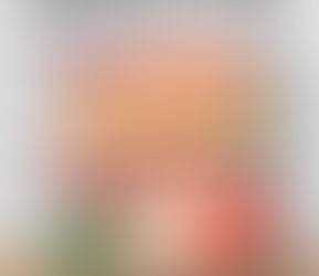 Какая страна самая читающая в мире?