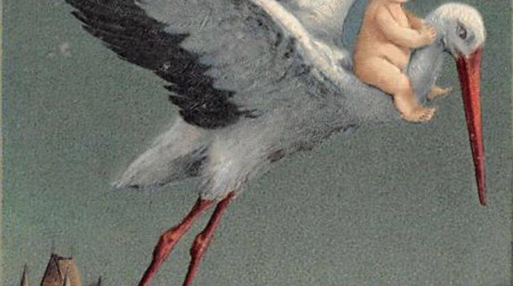 «Неприемлемо с точки зрения шариата…» В ДУМК сделали заявление о чайлдфри