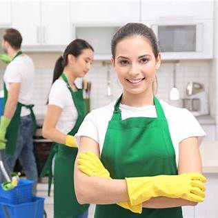 Domestic Cleaning