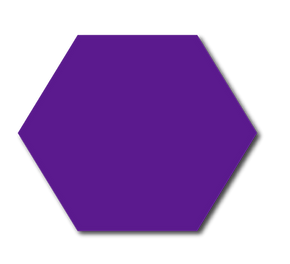 zes brillen.png