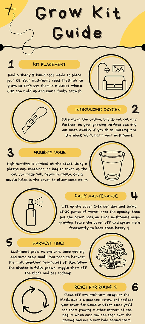 Grow Kit Guide (Infographics).png