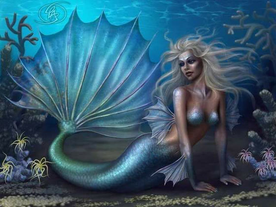 mermaids