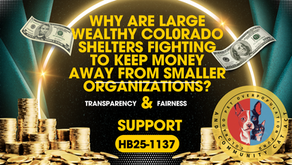 Shining a Light on the Colorado Pet Overpopulation Fund: Why HB25-1137 is a Win for Animal Welfare