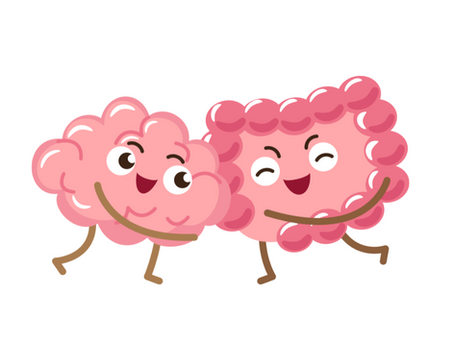 Gut Brain Connection
