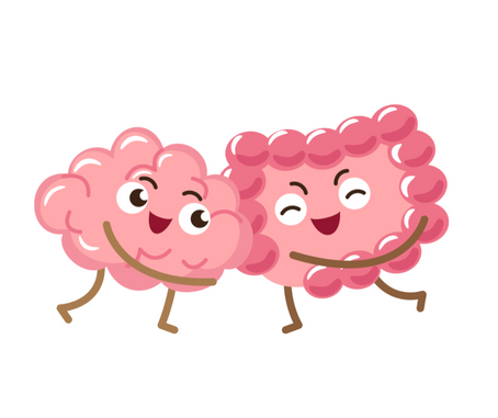 Gut Brain Connection