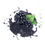 Miniature : 09. Mûre