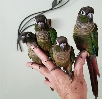 20241121_144354_resized (1).jpg