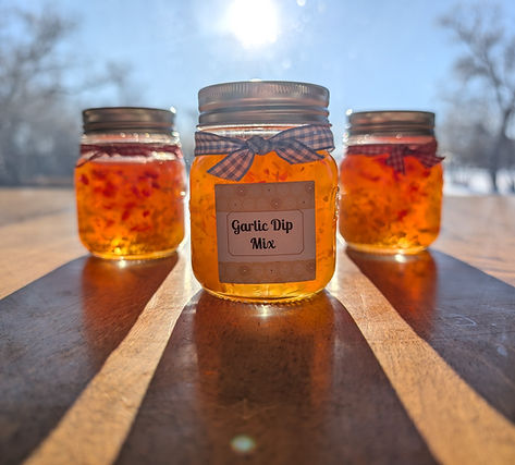 Garlic mix dip _edited.jpg