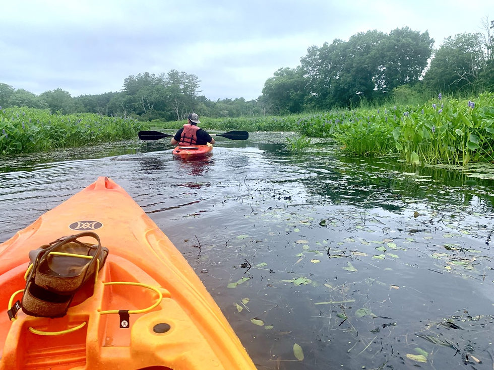 River Col Kayaking on the Ipswich River