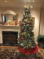INDOOR RESIDENTIAL CHRISTMAS TREE RENTAL.JPEG