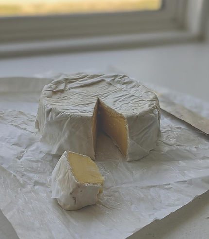 cheese.jpg