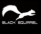 Logo Black Squirrel