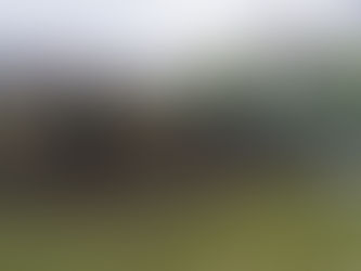 5月9日(木) 畑起こし作業