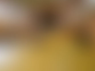 6月24日(月) 西リンピック