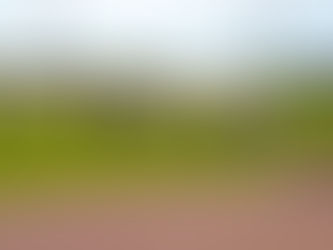 6月27日(木) 暖かくなってきました