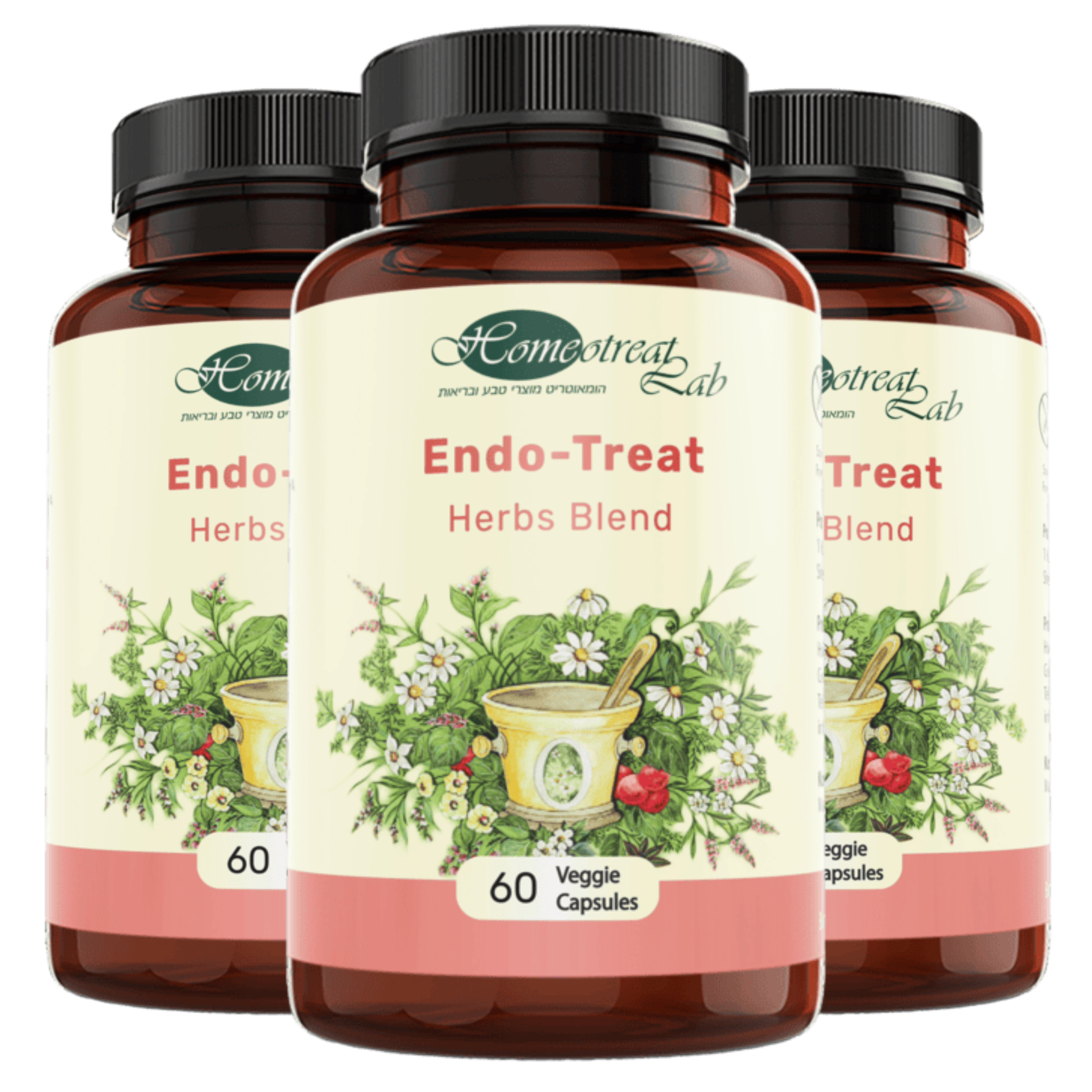 Endometriosis Natural Supplements | Endometriosis Support | 3-pack | Kosher