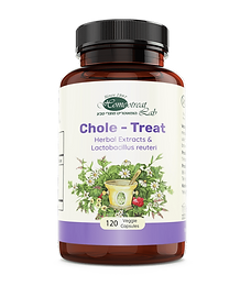 Cholesterol supplements