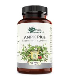 NATURAL METABOLIC ACTIVATOR | AMPK PLUS