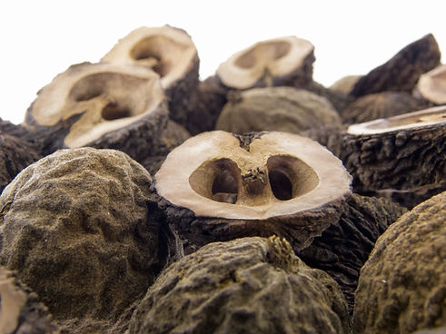 Brain 770 Ingredients | Black walnut hull