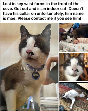 Screen Shot 2023-05-05 at 10.35.28 AM.png