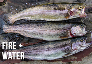 Here's an excellent fire and water trout fish dinner recipe