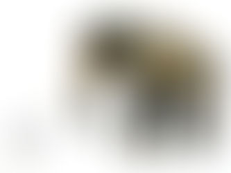 כוחו של הדד-ליין 