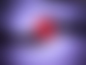 להתרומם מכשלון 