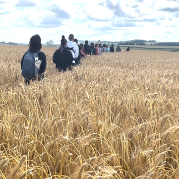 Viaje a Avalon Glastonbury Myriam Aram viajes organizados a glastonbury Avalon viajes sagrados viaje a Avalon 2026 viaje espiritual a glastonbury retiro iniciático viaje iniciático viaje sagrado Avalon Maria Magdalena Hermandad de la Rosa Isla de Avalon Merlín Morgana Rey Arturo Ciudad de luz de Avalon Camino del Dragón Viaje Místico Viaje a Inglaterra Crop Circle Círculo de las cosechas Tintagel Cornualles hadas bosque de hadas druidas laberinto