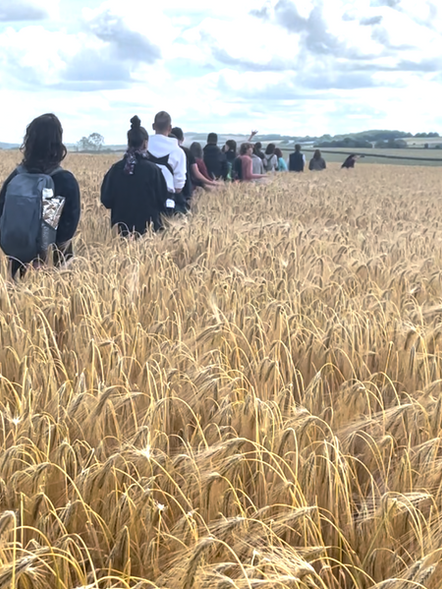 Viaje a Avalon Glastonbury Myriam Aram viajes organizados a glastonbury Avalon viajes sagrados viaje a Avalon 2026 viaje espiritual a glastonbury retiro iniciático viaje iniciático viaje sagrado Avalon Maria Magdalena Hermandad de la Rosa Isla de Avalon Merlín Morgana Rey Arturo Ciudad de luz de Avalon Camino del Dragón Viaje Místico Viaje a Inglaterra Crop Circle Círculo de las cosechas Tintagel Cornualles hadas bosque de hadas druidas