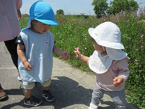 IMG_3966.JPG