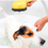 Thumbnail: Conair Deluxe Pet Washer