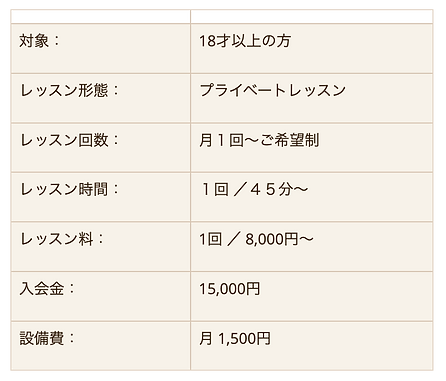 大人ヴァイオリン価格.png