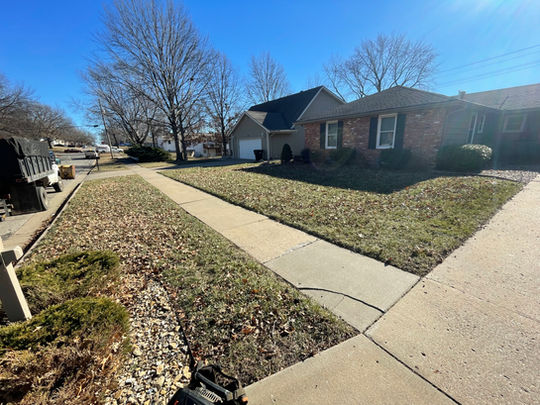 leaf removal Topeka kansas