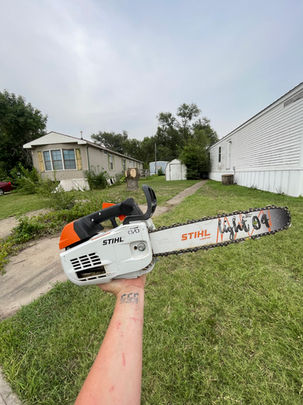 Best tree removal, Topeka, Kansas